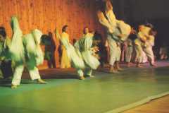 2001-12-08 Julschauturnen
