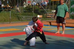 2002-06-01 Judo Open-Air Meisterschaftskampf ASKÖ Reichraming