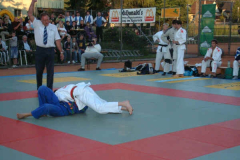 2002-06-01 Judo Open-Air Meisterschaftskampf ASKÖ Reichraming