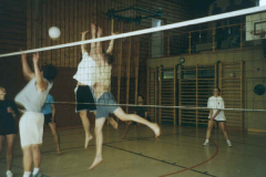 2002-06-29 Landespielmannszug-Treffen in Mondsee
