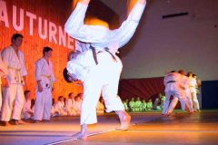2002-12-07 Julschauturnen