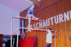 2002-12-07 Julschauturnen