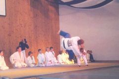 2005-12-10 Julschauturnen