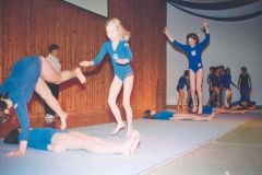 2005-12-10 Julschauturnen