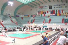 2006-06-27 8. Judo Masters-WM Frankreich