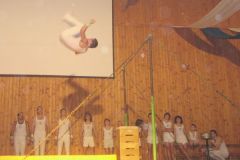 2006-12-09 Julschauturnen