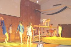 2006-12-09 Julschauturnen