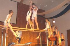 2006-12-09 Julschauturnen