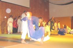 2006-12-09 Julschauturnen
