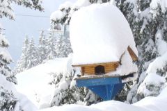 2007-03-17 Schiwoche in Bad Gastein