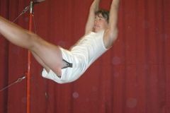 2007-07-06 Bezirksturnfest Grieskirchen