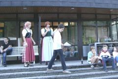 2007-07-06 Bezirksturnfest Grieskirchen