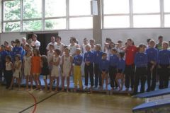 2007-07-06 Bezirksturnfest Grieskirchen