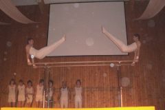 2007-12-08 Julschauturnen