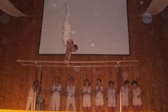 2007-12-08 Julschauturnen