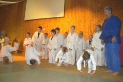 2007-12-08 Julschauturnen