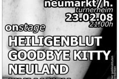2008-02-23 Alive! Musikfestival im Turnerheim