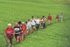 2008-08-17 Unterwegs nach Ulrichsberg