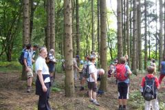 2010-08-12 Stopp im Wald