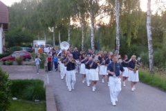 2011-06-17 Ein langer Fackelzug wird von uns angeführt