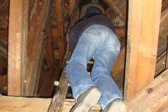 2011-09-08 Sehr steile Leiter beim letzten Stück zum Zwiebel