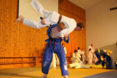2011-12-03 Volle Action bei der Judovorführung