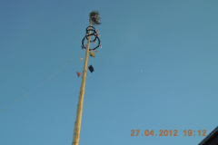 2012-04-27 Schön steht unser Maibaum da