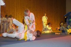 0212-12-01 Judo - werfen, fallen
