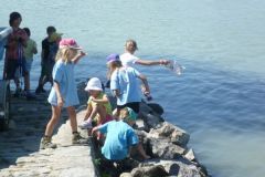 2013-08-15 Wasser ist für Kinder einfach anziehend