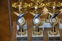 2014-06-14 Die Sieger erhalten tolle Pokale