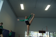 2016-04-09 Celine am Balken