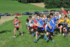 2016-08-13 Unsere jungen Geländeläufer