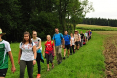 2017-08-12 Gänsemarsch ist angesagt