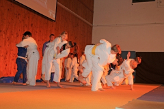 2017-12-02 Unser Judokas zeigen tolle Würfe