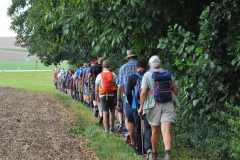 2018-08-14 Brav im Gänsemarsch