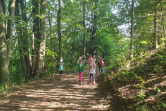 2020-08-06 Bewegte Ferien - Wandertag Bauernroas