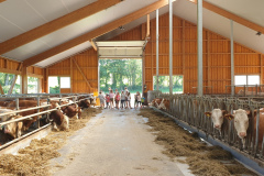 2020-08-06 Bewegte Ferien - Wandertag Bauernroas