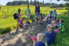 2020-08-06 Bewegte Ferien - Wandertag Bauernroas