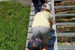 2020-08-06 Bewegte Ferien - Wandertag Bauernroas