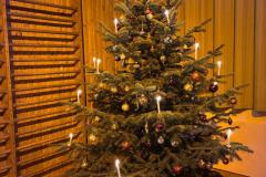 2024-12-21 Wunderschöner Christbaum