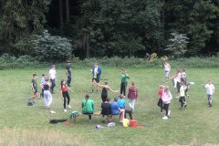 2025-08-28 Gis-Wiese