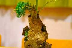 2025-10-25 Bockbieranstich Ritterbräu