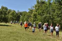 2026-08-14 Unterwegs nach Münzkirchen