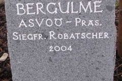 2004 Bergulme, ASVOÖ Präs. Robatscher