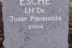 2004 Esche, LH Pühringer