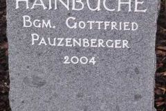 2004 Hainbuche, Bgm. Pauzenberger